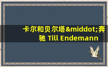 卡尔和贝尔塔·奔驰 Till Endemann 在线看